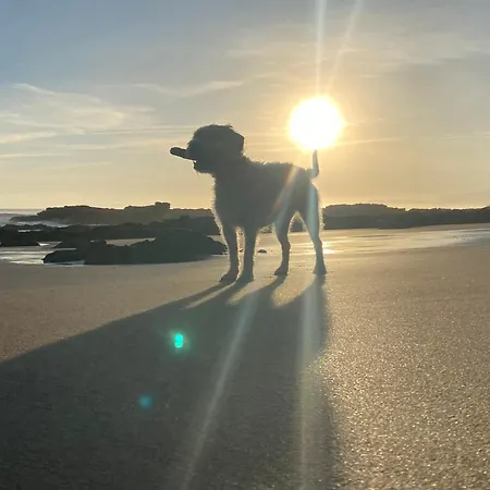Prázdninový dům Casa Estilo Rural Con Jardin Entre Playa Y Montana *
