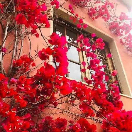 Casa Estilo Rural Con Jardin Entre Playa Y Montana 別荘